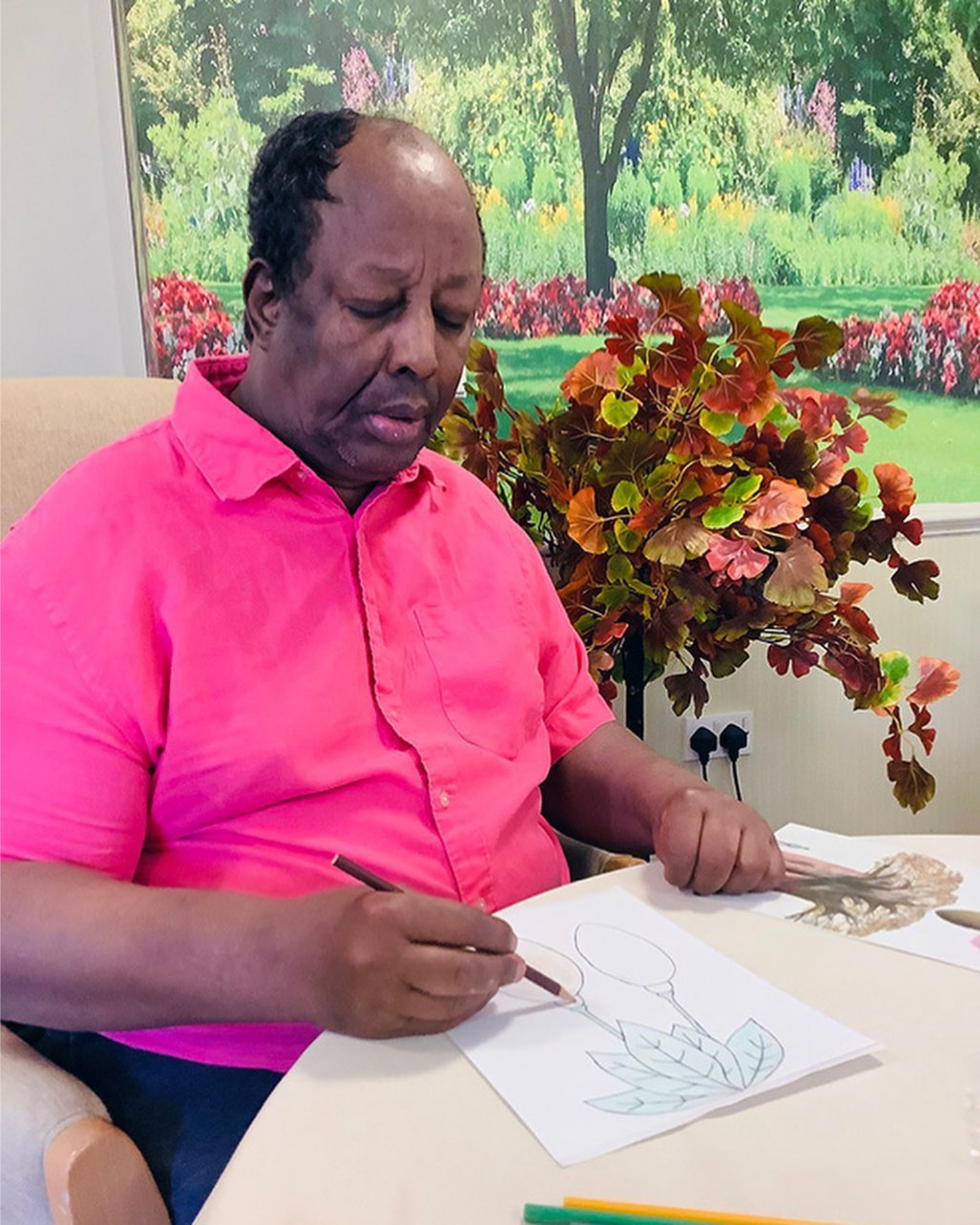 Photo of a Black elderly person in hot fuschia shirt colouring in the outline of a fruit with a brown coloured pencil.