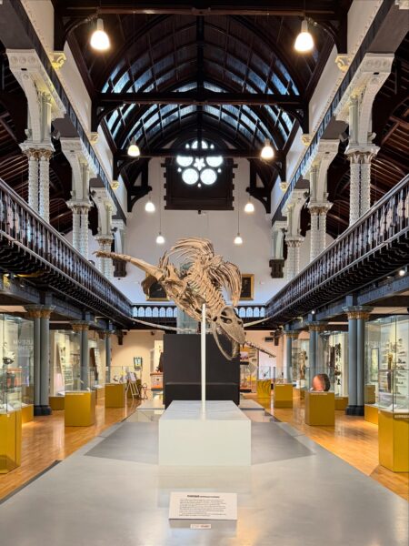 Hunterian Museum, University of Glasgow