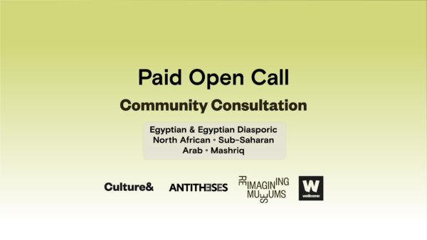 Open Call for Expressions of Interest: Lived Experience Panel